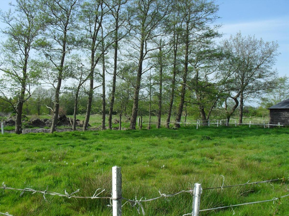 Ferienhof Schlachter Berumbur Esterno foto