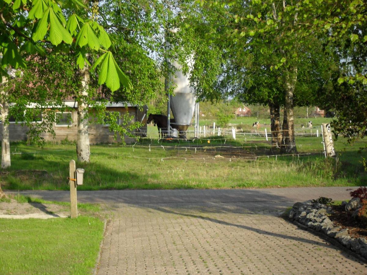 Ferienhof Schlachter Berumbur Esterno foto