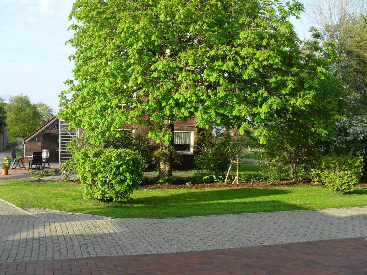 Ferienhof Schlachter Berumbur Esterno foto