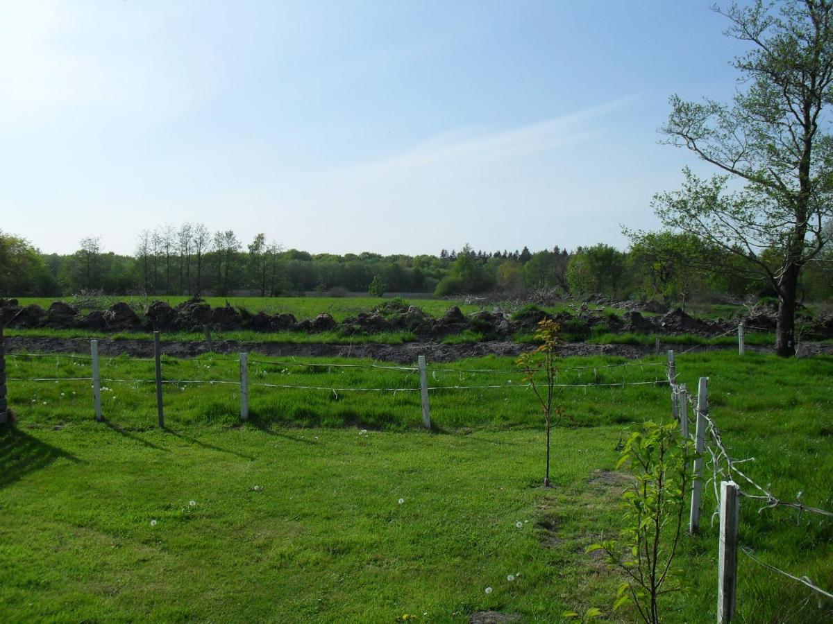 Ferienhof Schlachter Berumbur Esterno foto